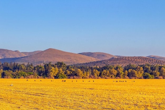 Trải Nghiệm Thú Vị Với Hình Xe Đạp Điện Nền Tảng Cá Cược Trực Tuyến Hàng Đầu Tại Việt Nam