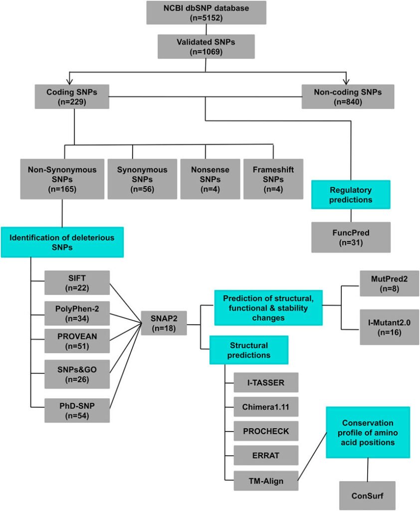 Xe Máy 155 Khám Phá Thế Giới Giải Trí Trực Tuyến Đa Dạng Và Hấp Dẫn
