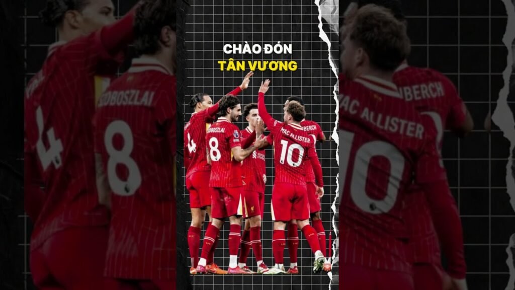 Khám Phá Thế Giới Review Công Viên Suối Mơ Nơi Đam Mê Bất Tận Và Cơ Hội Vàng